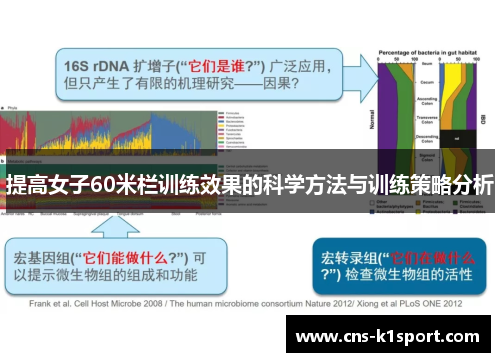 提高女子60米栏训练效果的科学方法与训练策略分析 提高女子60米栏训练效果的科学方法与训练策略分析