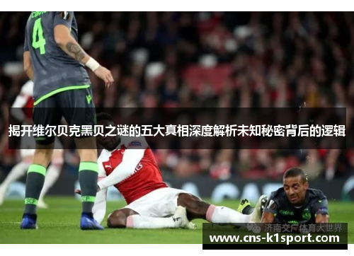 揭开维尔贝克黑贝之谜的五大真相深度解析未知秘密背后的逻辑