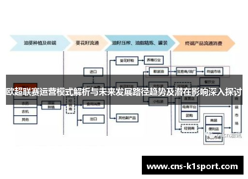 欧超联赛运营模式解析与未来发展路径趋势及潜在影响深入探讨